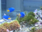 IMG_3729.JPG