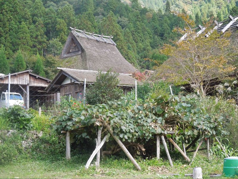DSCN0960