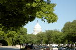 A Walk Around the Capitol