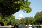 capitol_from_natlgallery