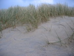 IMG_4148.JPG