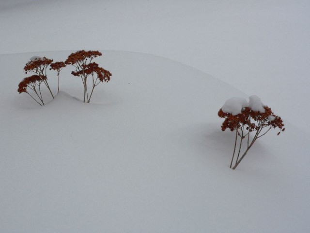 March 16, 2007.  It snowed.