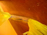 dscn1604