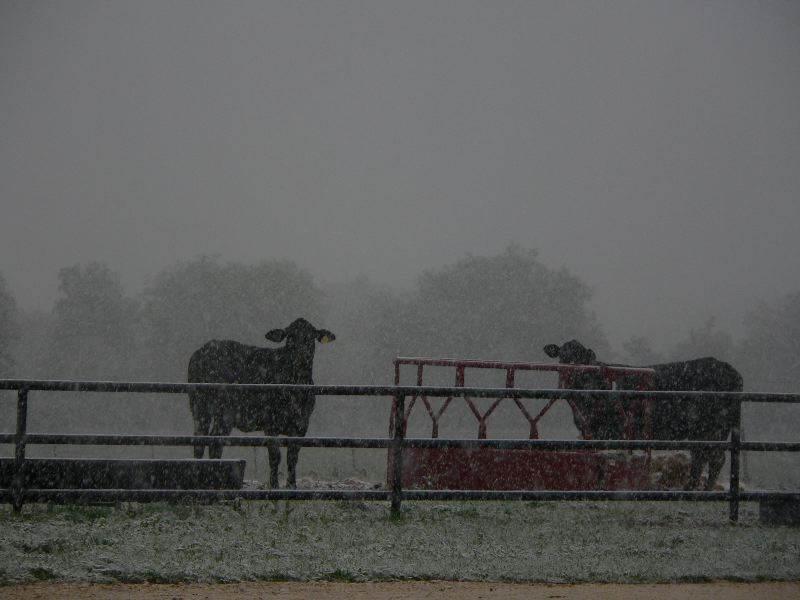 It snowed - April 9, 2007.