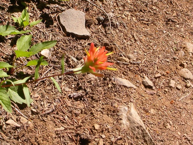 dscn0812