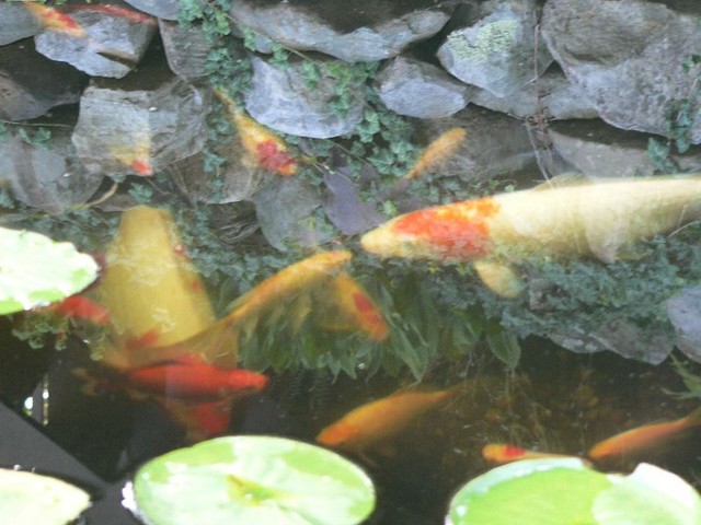 P1050573.JPG