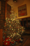 dsc4628_christmas_2005_tree