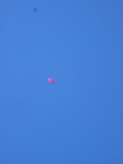 IMG_5463.JPG
