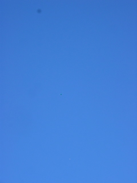 IMG_5477.JPG