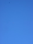 IMG_5478.JPG