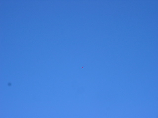 IMG_5479.JPG