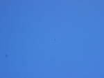 IMG_5484.JPG