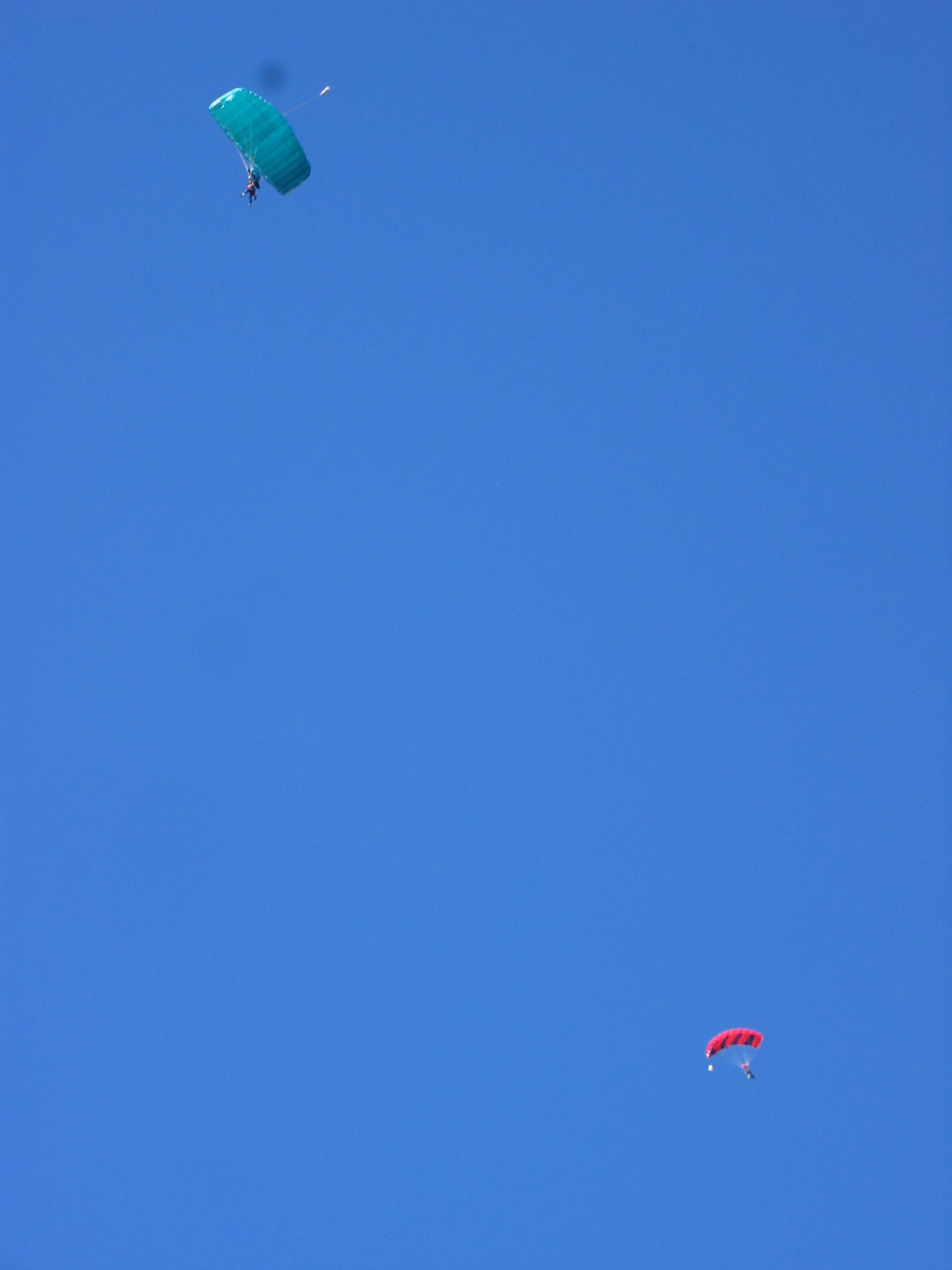 IMG_5489.JPG