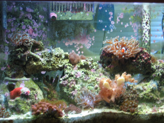 IMG_5581.JPG