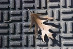 Single leaf - manhole cover.