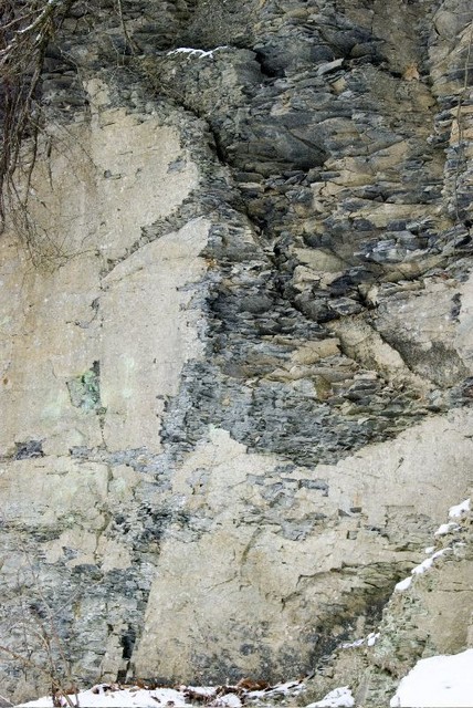 Textures. Thacher Park shale hillside.