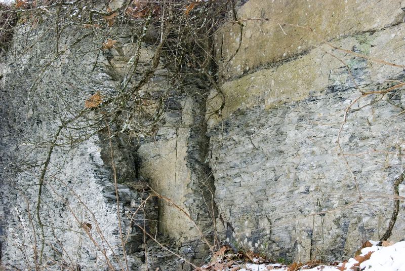 Textures.  Thacher Park shale hillside.