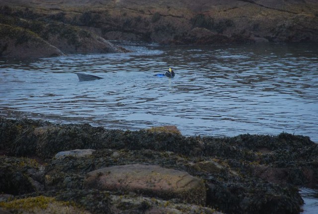 DSC_0070.JPG