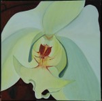 White Orchid   
