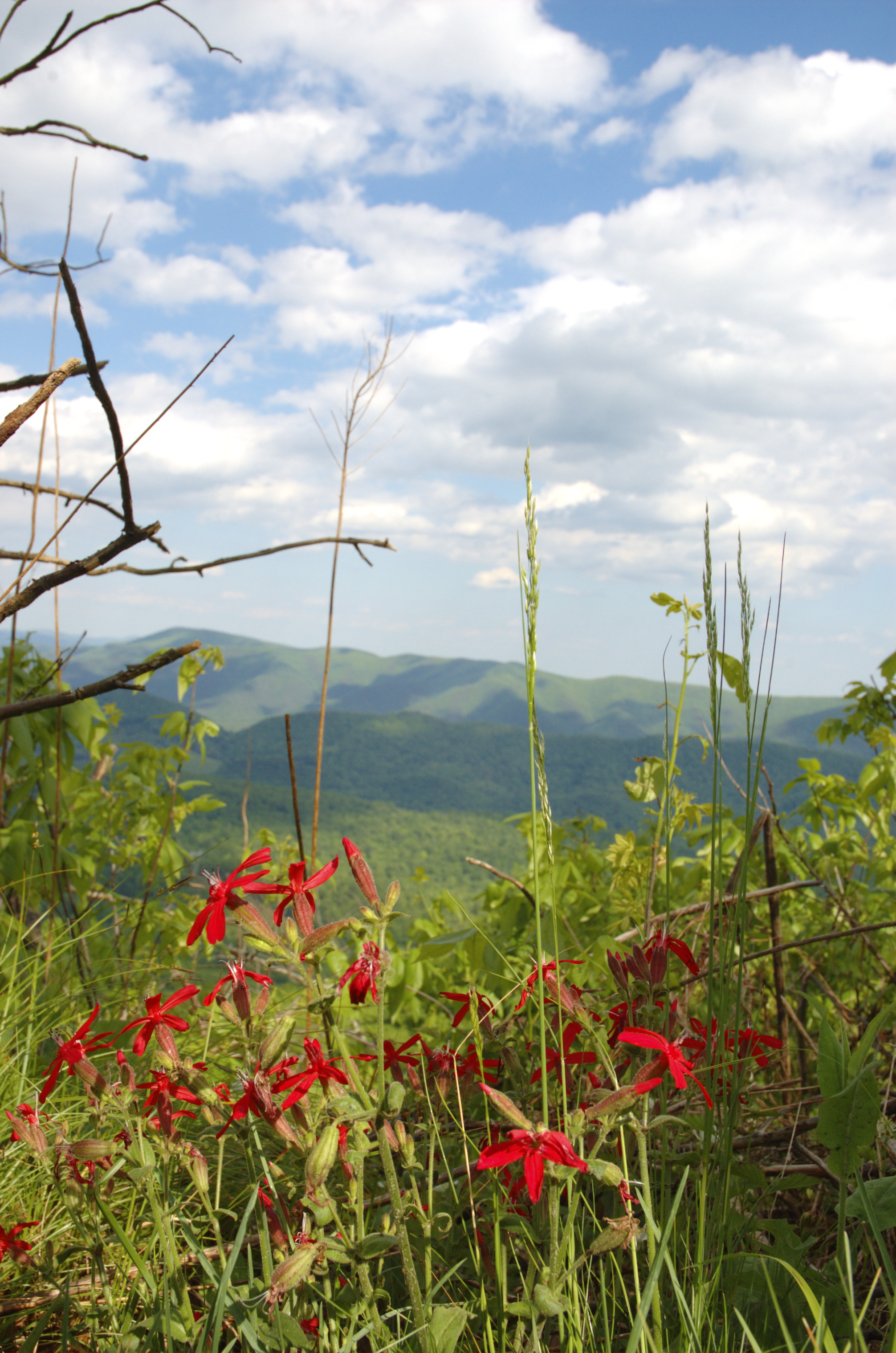 dsc2454_red_overlook