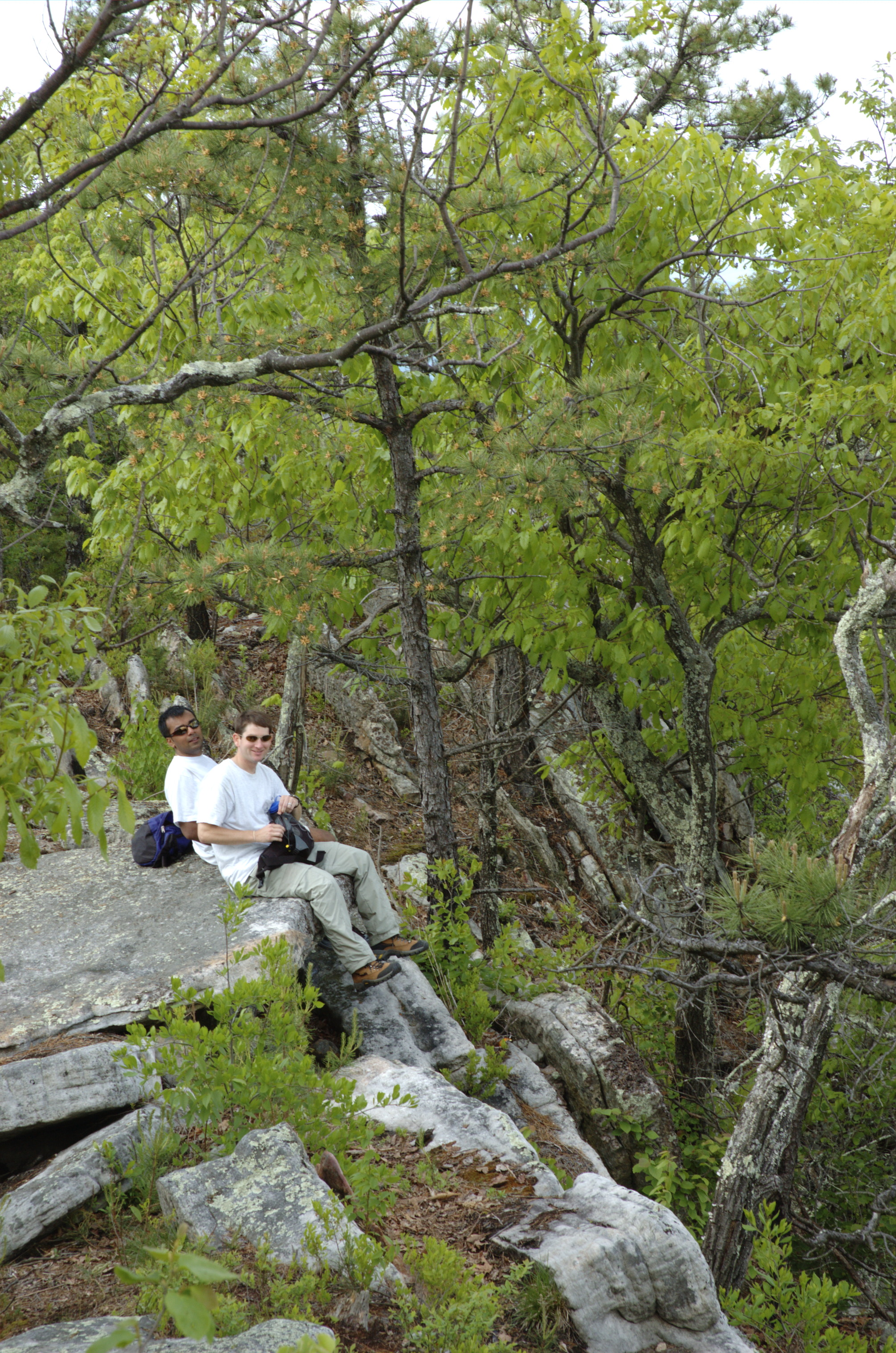 dsc2460_sundip_gardner_summit