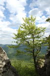 dsc2469_dragons_tooth_valley