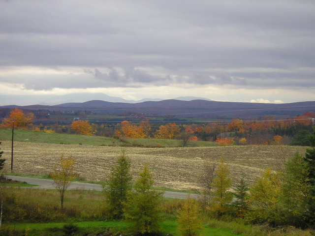vtview1