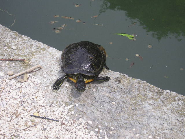 P1010184