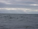 IMG_0379
