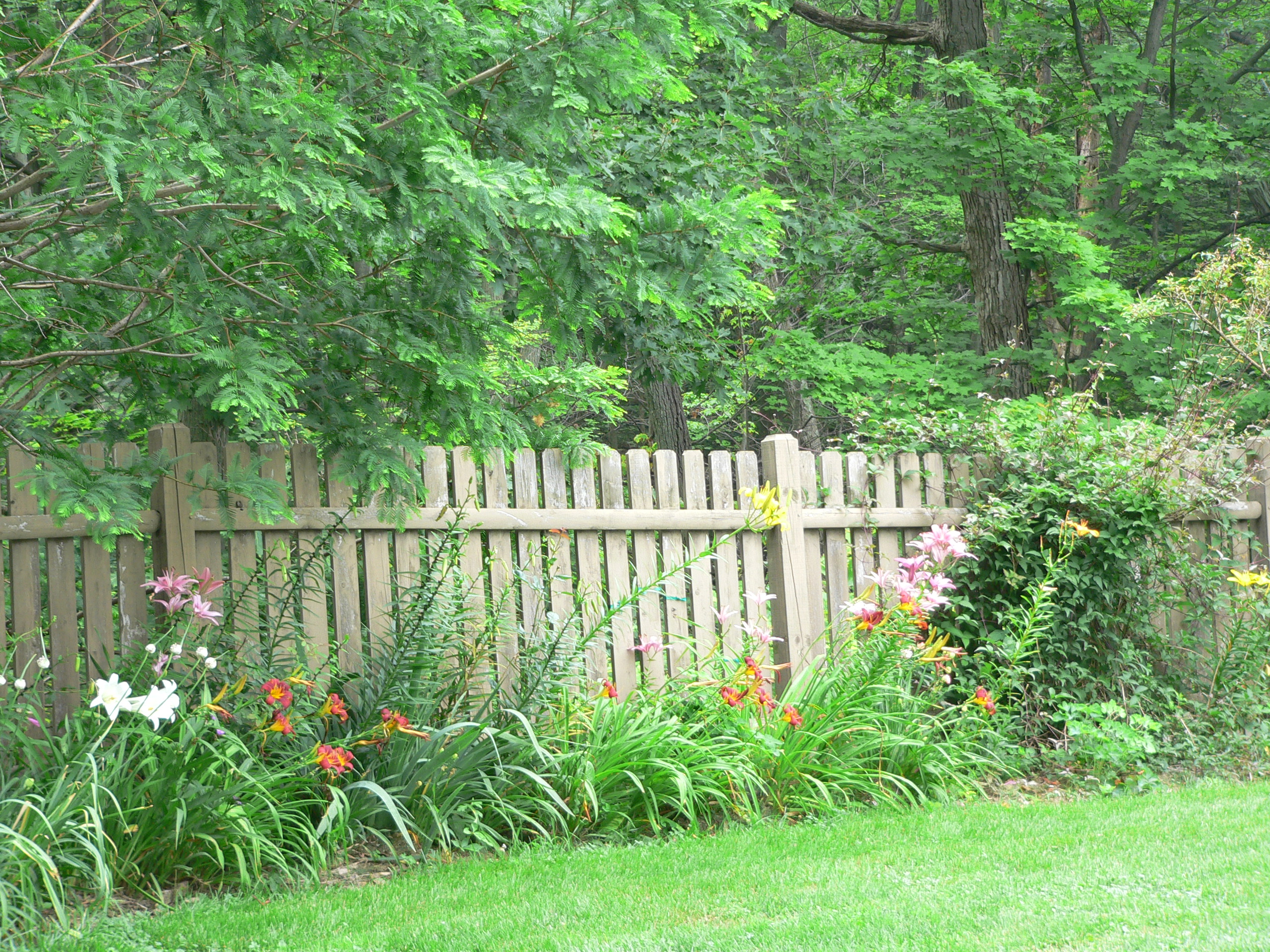 The pool garden where the deer are not supposed to play.