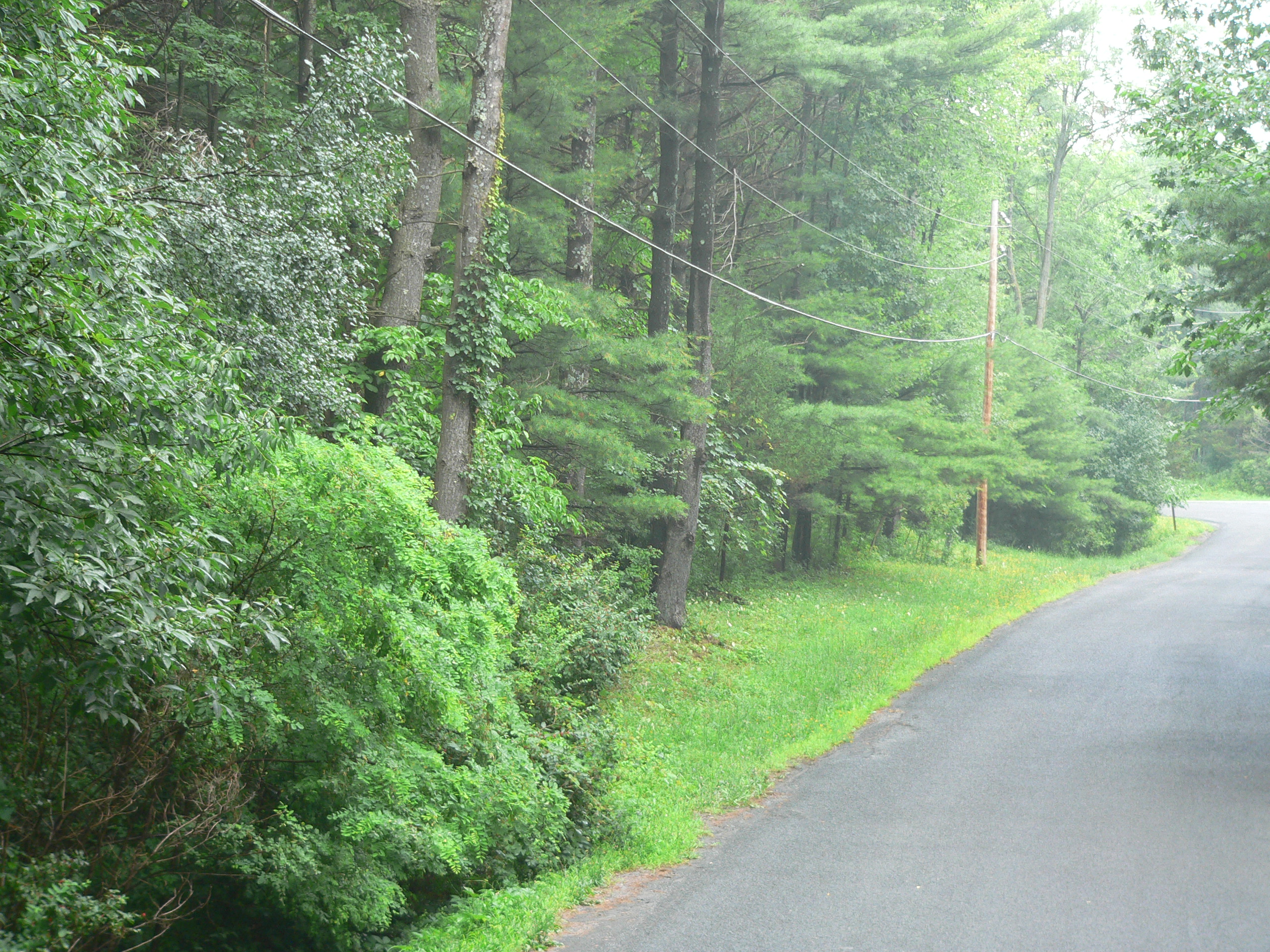 On the left - the lot on McGarr/Westview - just down the street from the house.