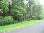 McGarr lot - 3.48 acres - nice and empty.