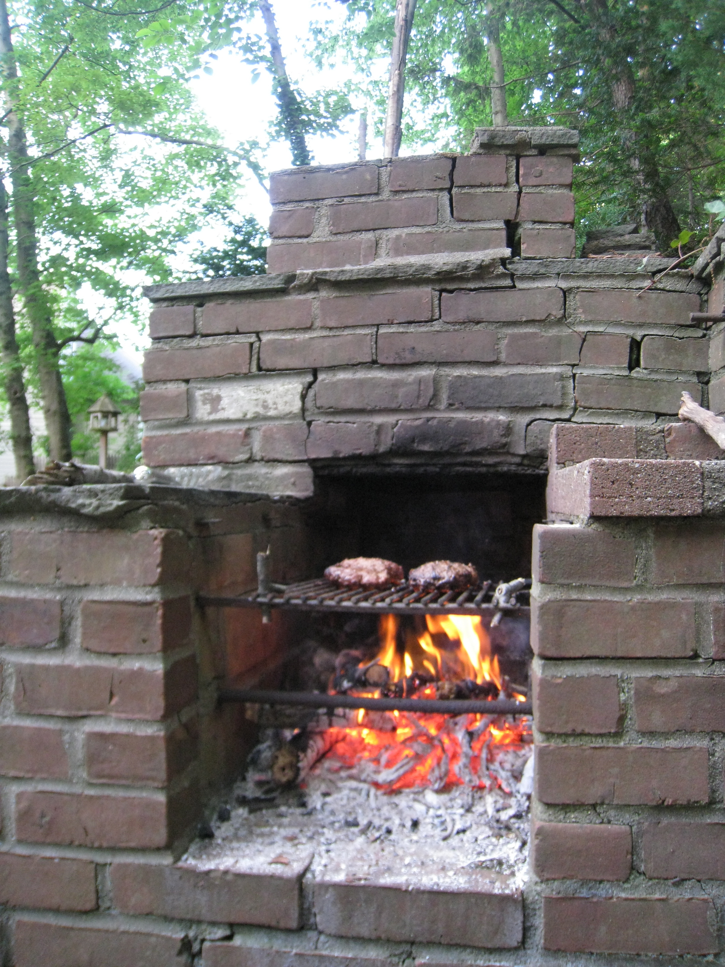 Burgers over blown down branches. Yum!