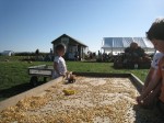 Fall 2011 Daytrip: Milk Pail Orchard